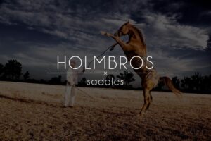 Homlbros Saddle Logo
