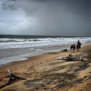 Rider and two horses riding on beach during storm