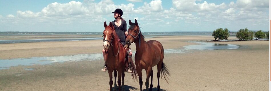 Rider and two horses at the beach on a sunny day