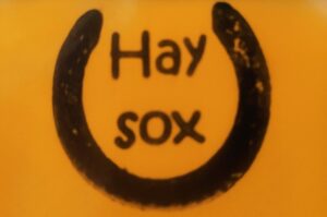 Hay Sox slow feeder sponsor