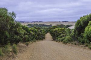 Australia dirt road stock route