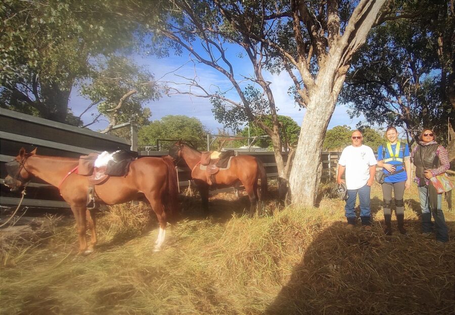 Costin Horseshoes Goondiwindi