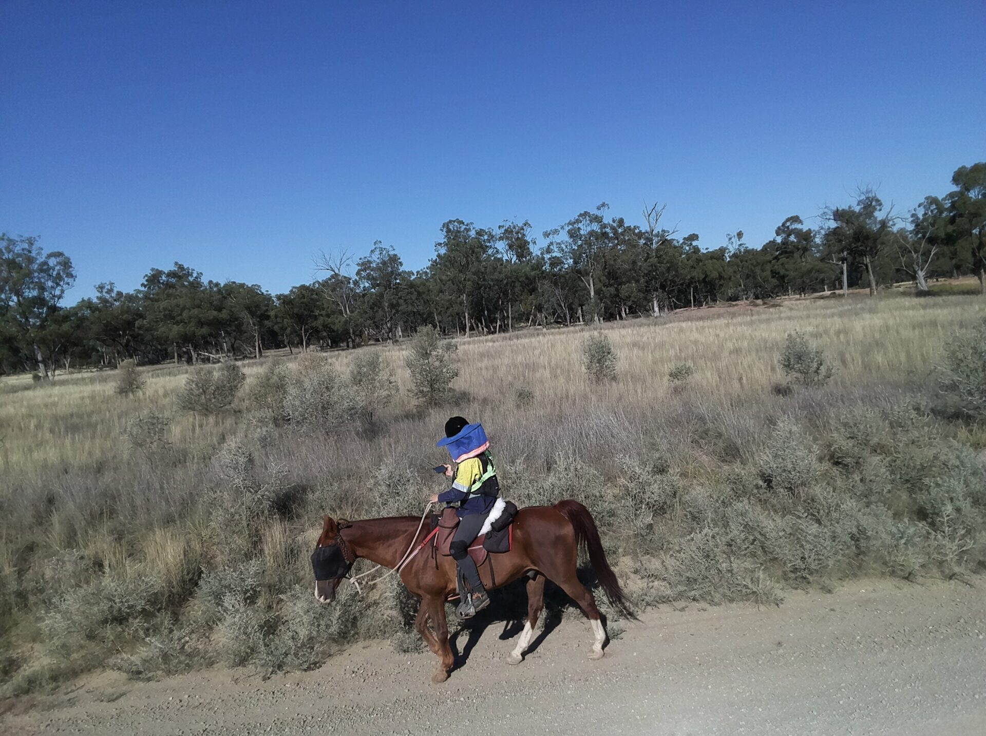 Horse and rider along stockroute