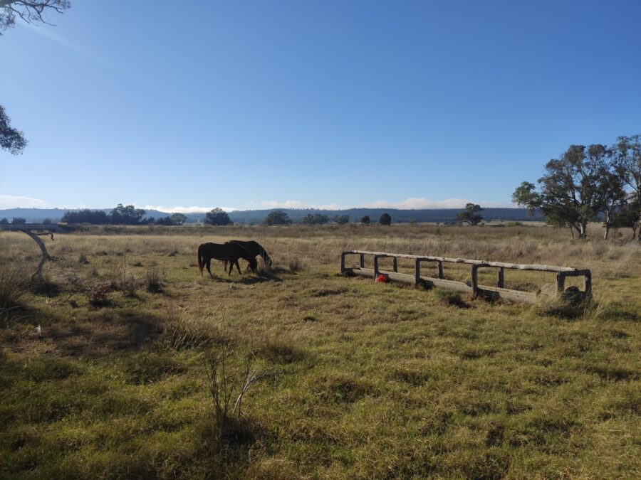 Hannah's Bridge stock reserve
