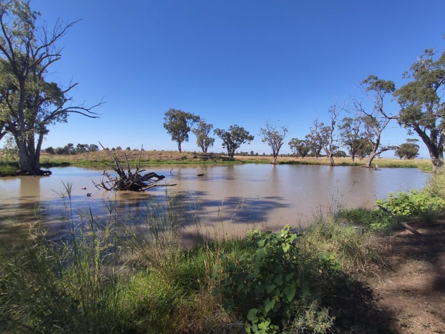 Stock reserve dam