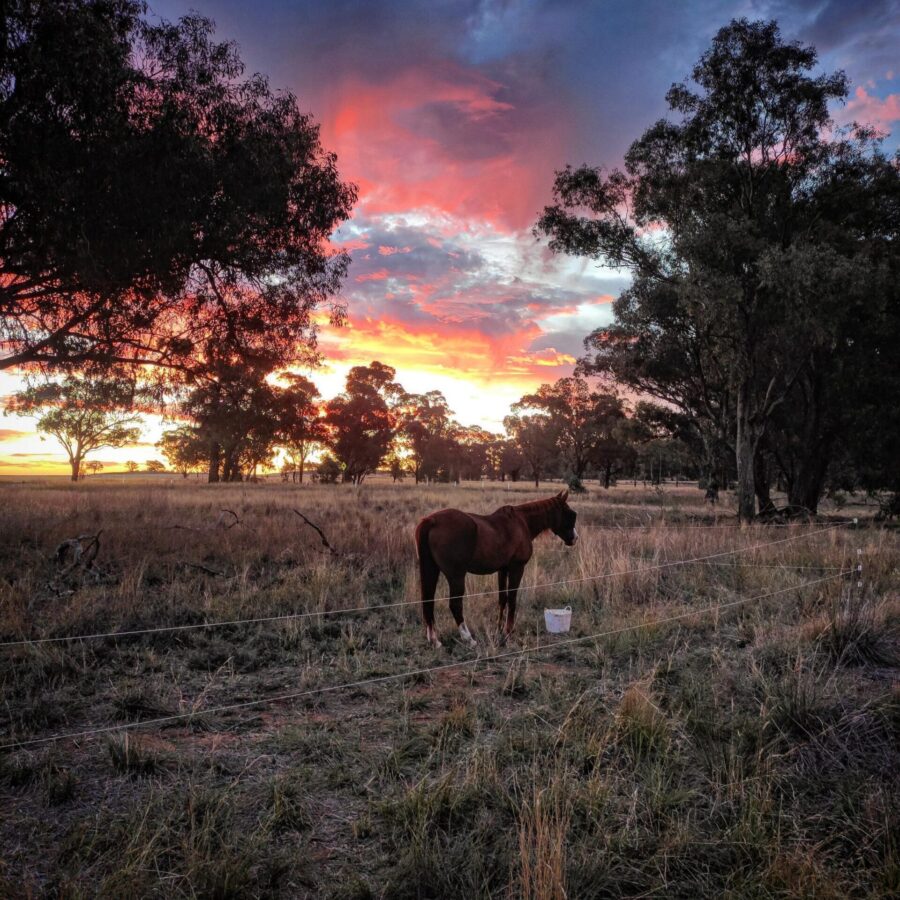 Glory sunset background future