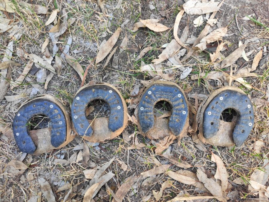horseshoes on ground